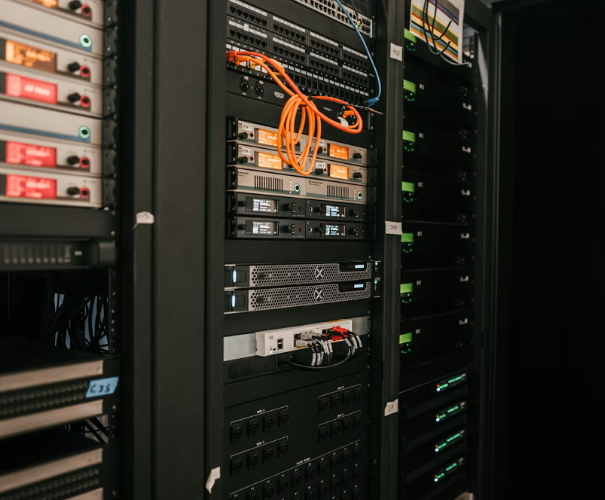 Website Hosting and Maintenance